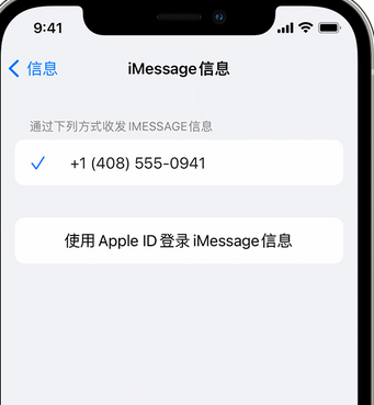 内乡apple维修iPhone上无法正常发送iMessage信息 