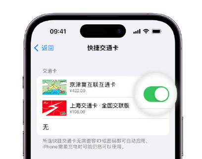 内乡apple维修点分享iPhone上更换Apple Pay快捷交通卡手绘卡面 