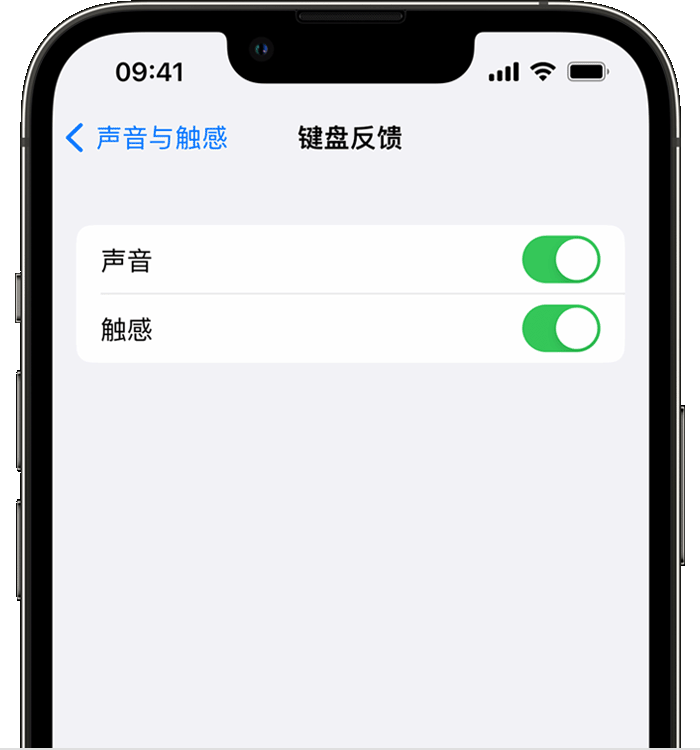 内乡苹果14维修店分享如何在 iPhone 14 机型中使用触感键盘 