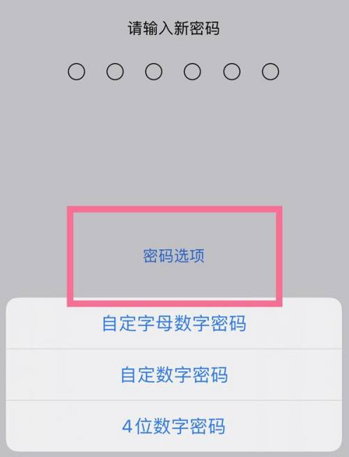 内乡苹果14维修分享iPhone 14plus设置密码的方法 