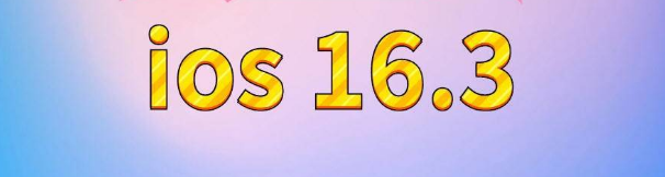 内乡苹果服务网点分享苹果iOS16.3升级反馈汇总 